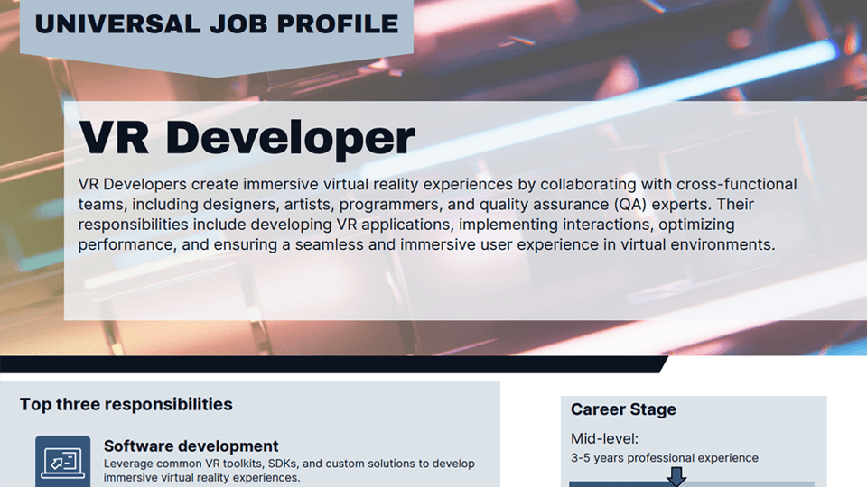 VR Developer