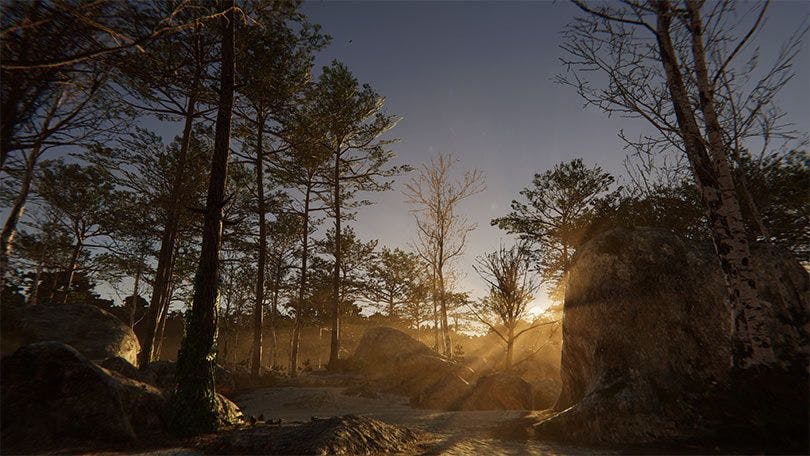 晨光透过森林洒向大地的渲染场景