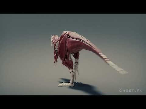 Effets visuels fantômes : Dinosaure que j'ai créé avec Ziva VFX