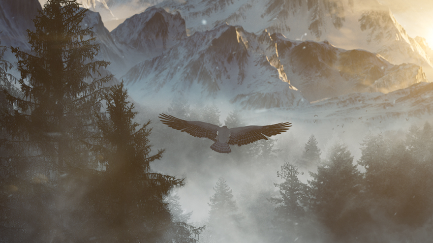 An eagle soaring over mountains and trees