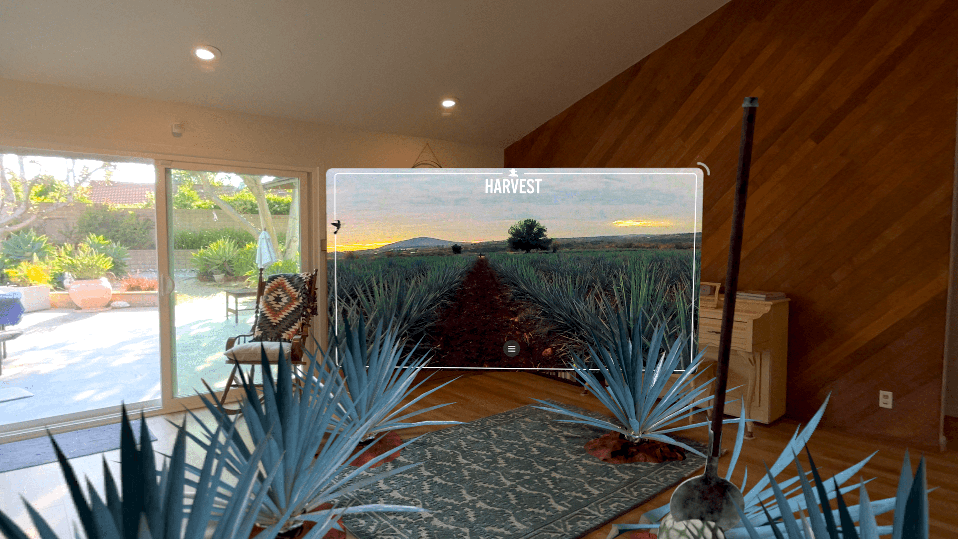 ドンファン カスタマー・エクスペリエンス