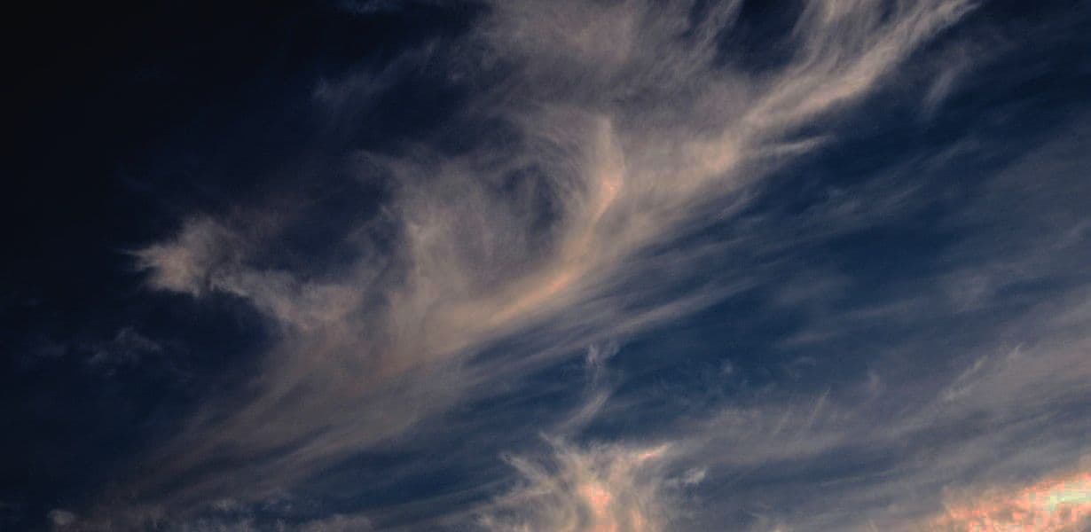 Unity for Humanity Grant callout background