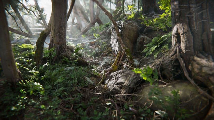 充実した世界観