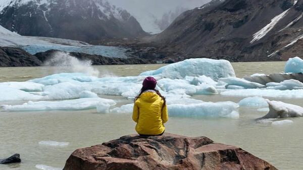 联合国环境与可持续性资助