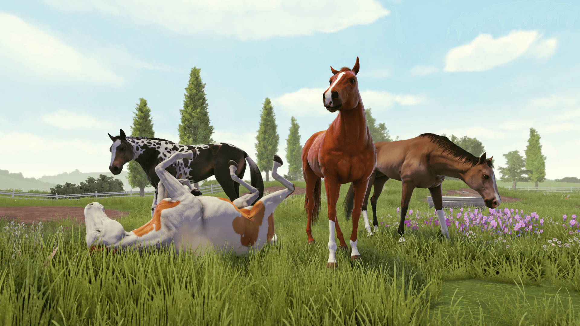 Rival Stars Horse Racing by PikPok