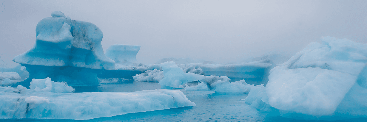 World Oceans Day: RT3D projects make waves and encourage conservation