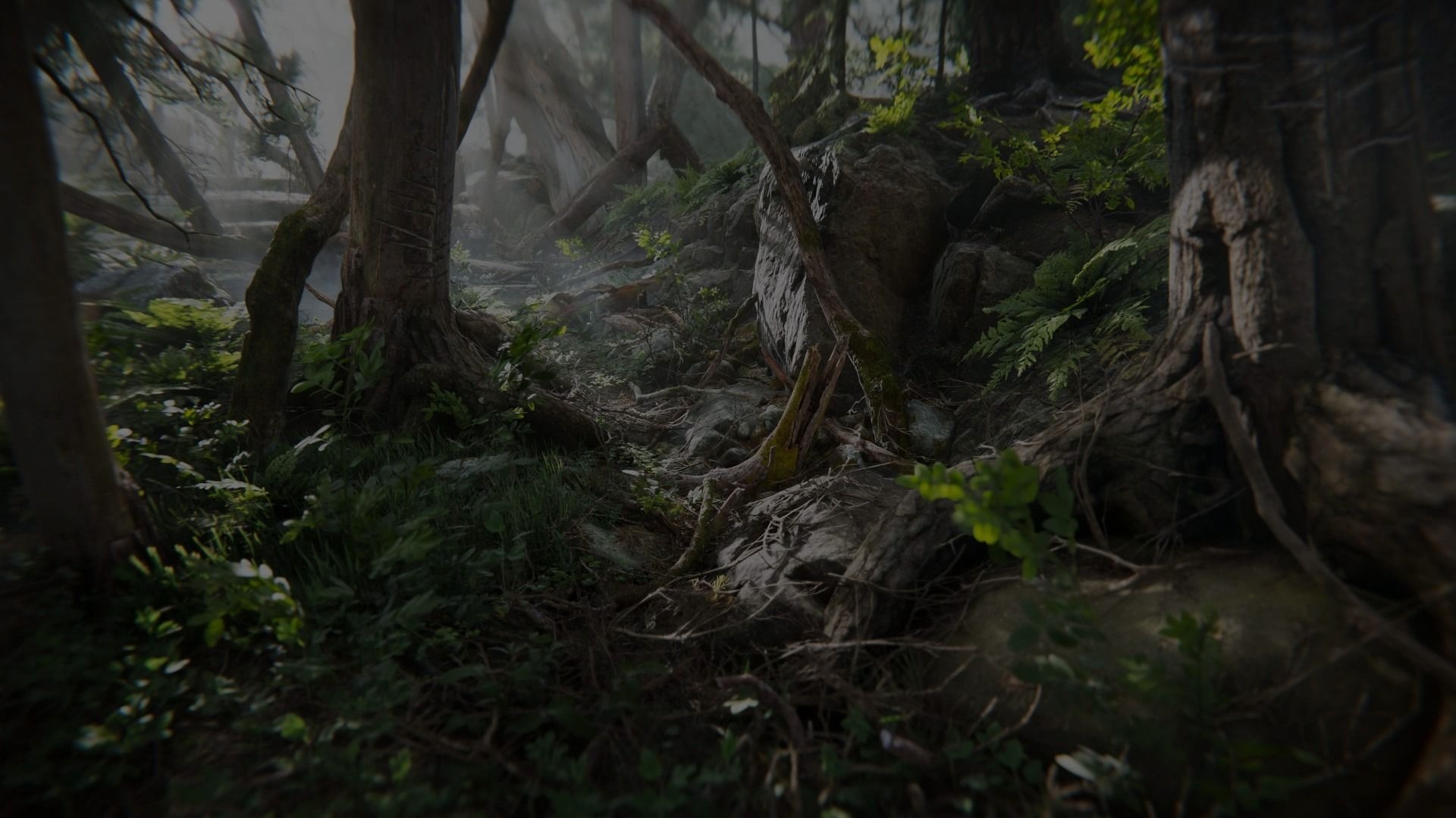 Hero background image