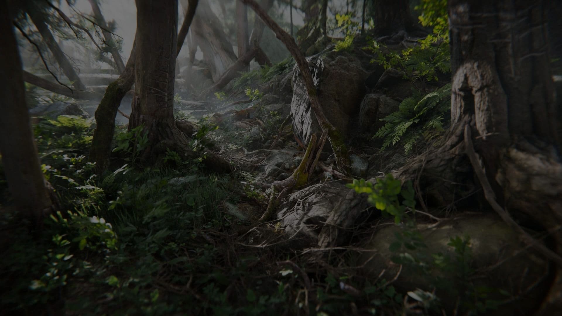 Hero background image