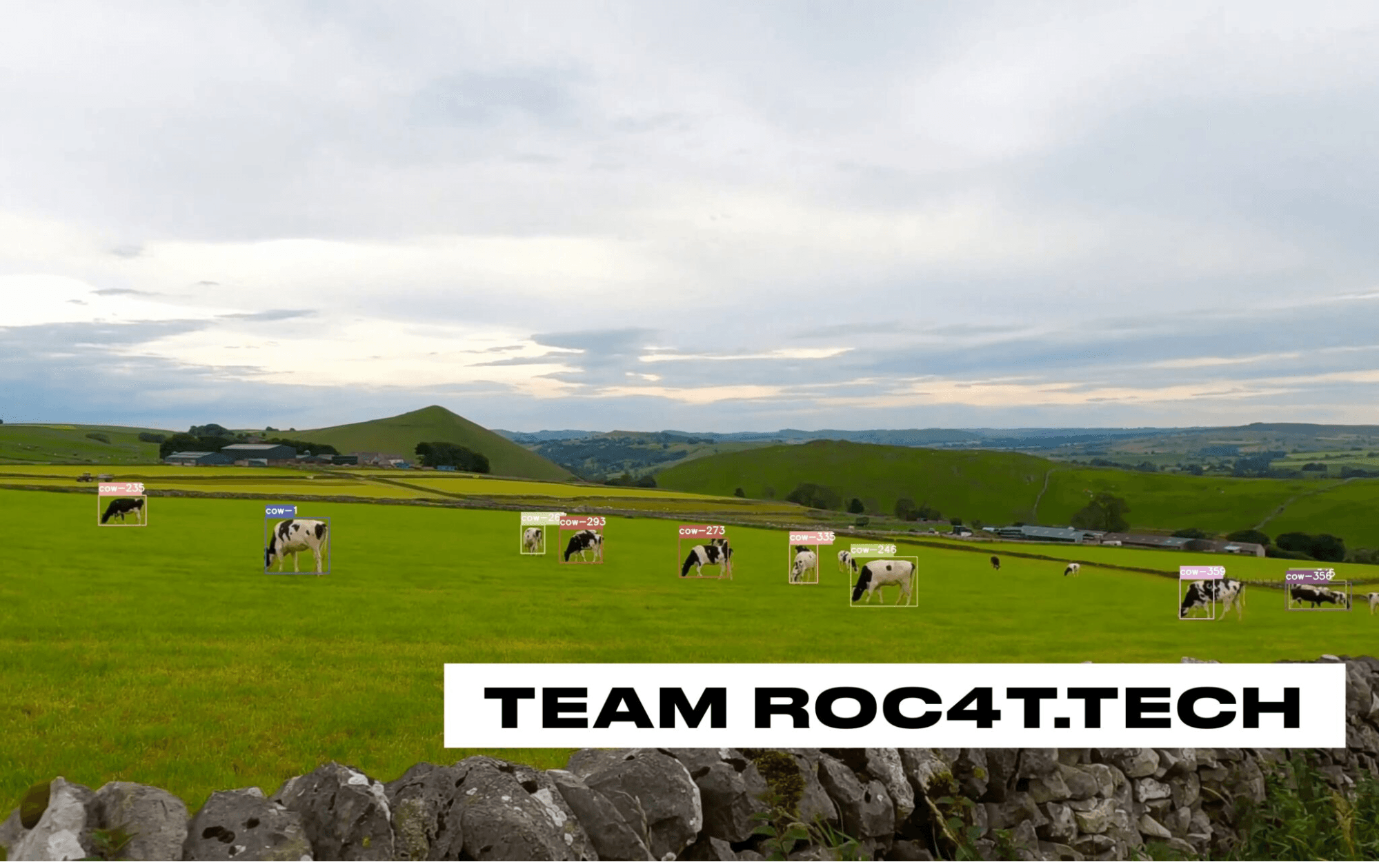 Image of cow tracking work from team Roc4T during OpenCV Spatial AI Contest 2021