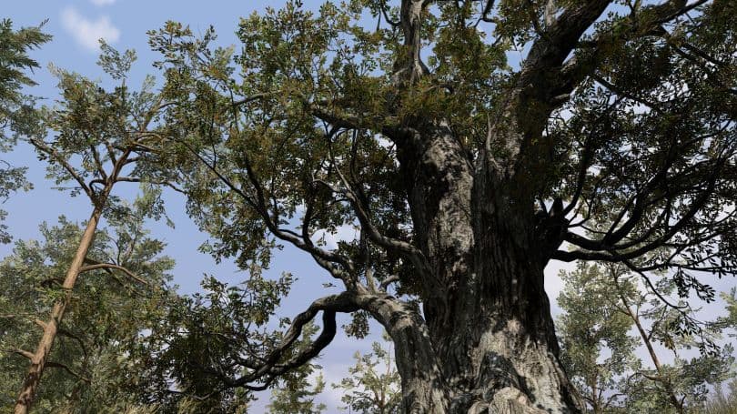 SpeedTree | 3D Vegetation Modeling | Unity