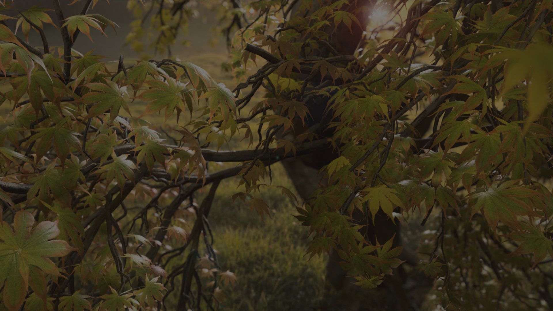 SpeedTree | 3D Vegetation Modeling | Unity