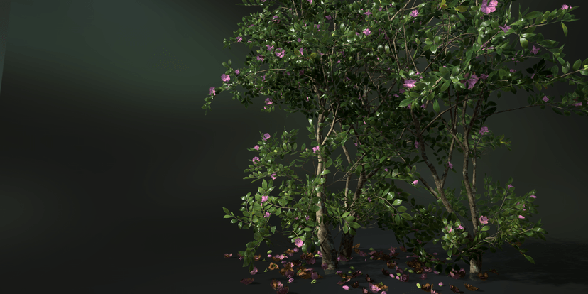 SpeedTree | The Industry Standard for Procedural Modeling