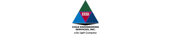 Cole Engineering Dienstleistungen Inc