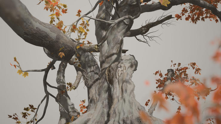 Осеннее дерево, созданное в SpeedTree