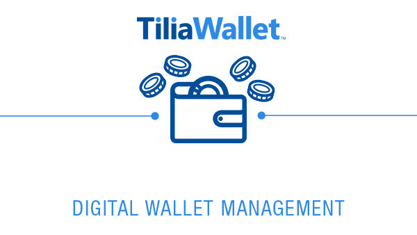 디지털 지갑 관리 다이어그램