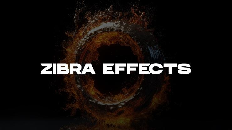 Zibra Effects