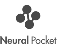 Romain Angénieux, Head of Simulation, Neural Pocket