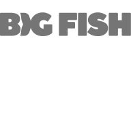 Kelly Kang, Director of Ad Monetization & Publishing Partnerships, Big Fish